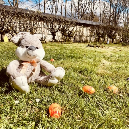 chasse-aux-oeufs-web