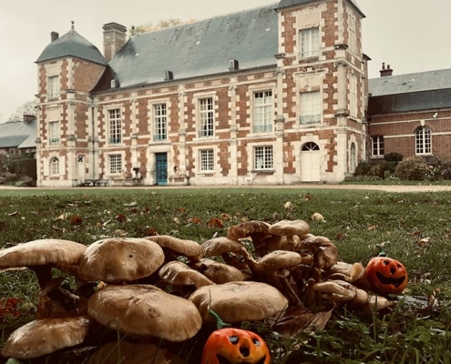 chateau-de-bonnemare