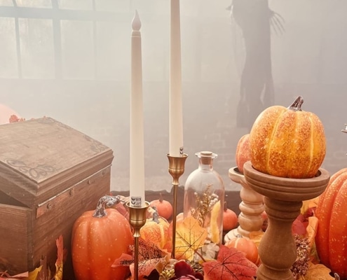 citrouilles-sorcieres